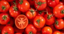 <font style='color:#000000'>Two tomatoes a day may keep lung disease away</font>