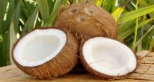 <font style='color:#000000'>Goodness of coconut for skin care, diet</font>