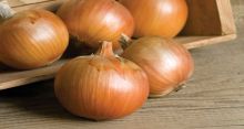 <font style='color:#000000'>Onion can help fight tuberculosis</font>