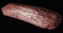 <font style='color:#000000'>Archaeologists find earliest examples of ‘Crayon’</font>