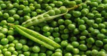 <font style='color:#000000'>Ten health benefits of peas you didn't know</font>