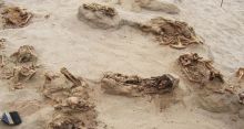 <font style='color:#000000'>Archeologist discover largest child sacrifice site</font>