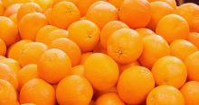 <font style='color:#000000'>Oranges prevent age-related vision loss</font>