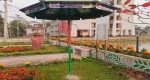 কাউখালী উপজেলা পরিষদ চত্বরে ফুটেছে নানা রঙের ফুল